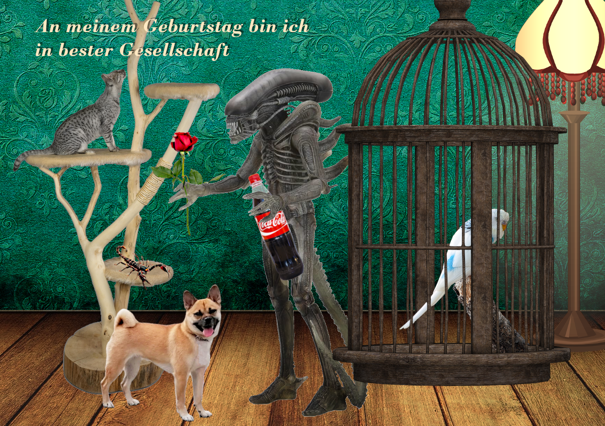 Persönliche Gruss- und Glückwunschkarten im Repro- und Werbezentrum Prenzlauer Berg GmbH Persönliche Gruss- und Glückwunschkarten im Repro- und Werbezentrum Prenzlauer Berg GmbH